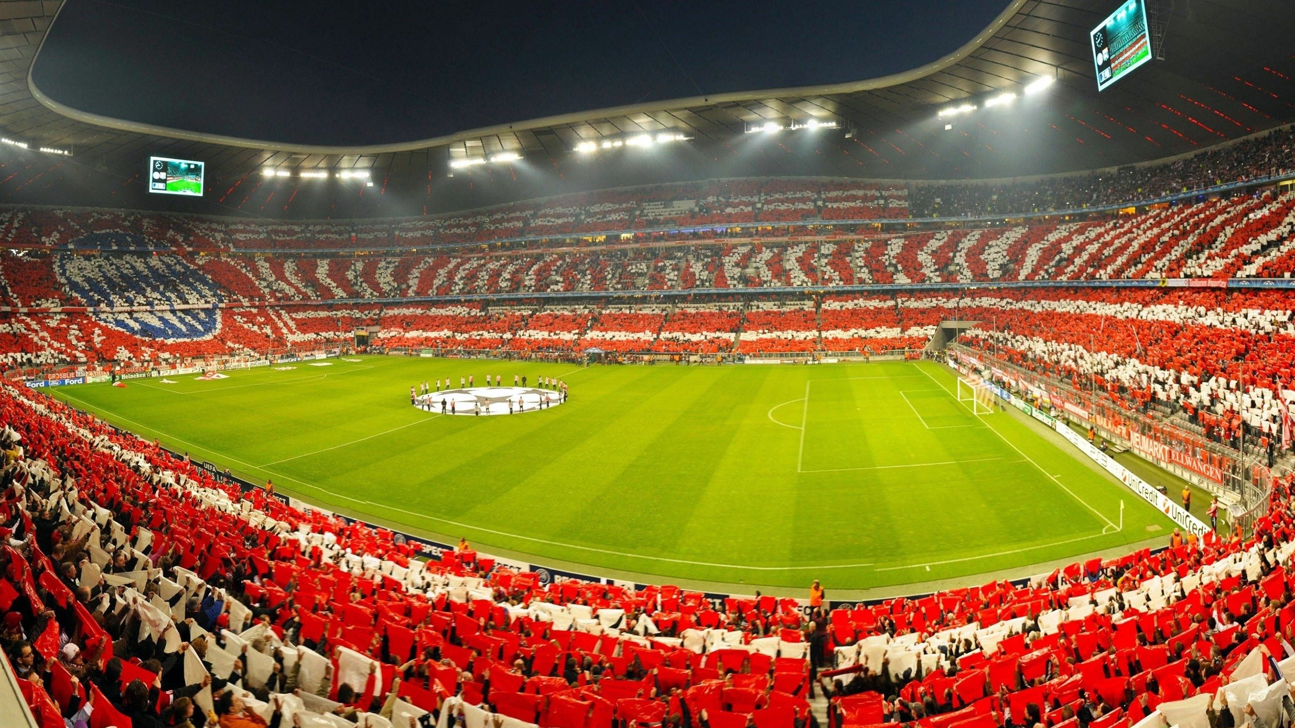 维尼修斯火力全开，澳网与本菲卡争锋，凯尔特人掀起不败旋风